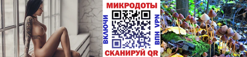 Галлюциногенные грибы Cubensis  Купить закладки  Саранск 