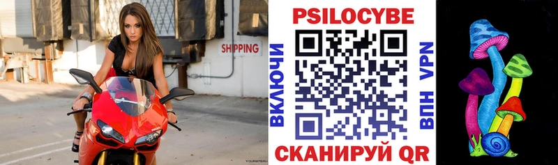 Галлюциногенные грибы MAGIC MUSHROOMS Саранск